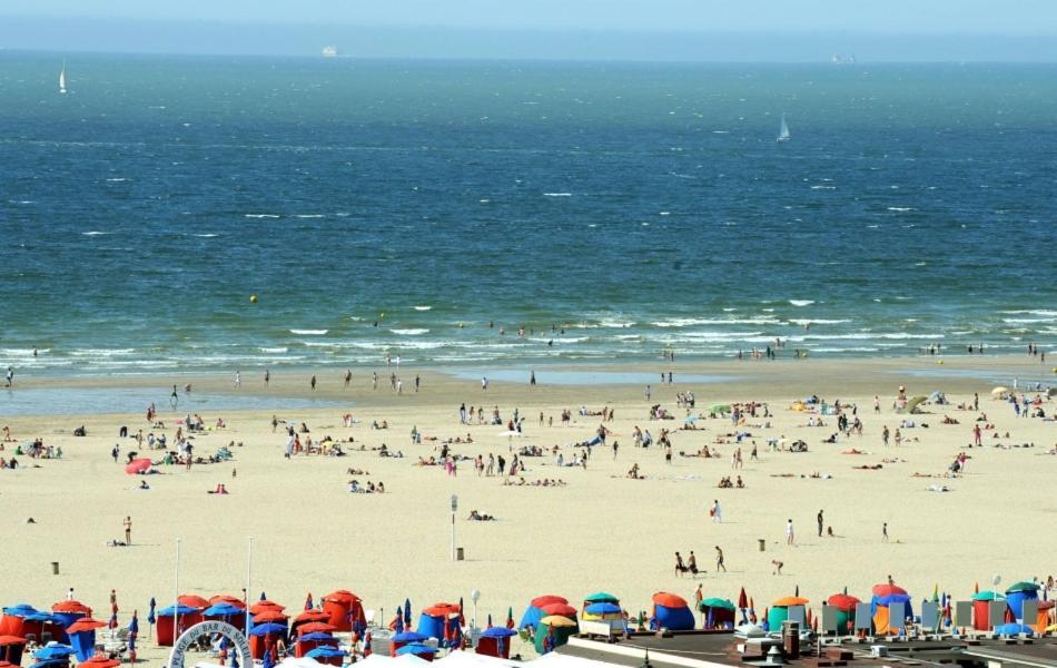 "Magnifique 2 Pieces Deauville" Piscine Et Jardin ภายนอก รูปภาพ